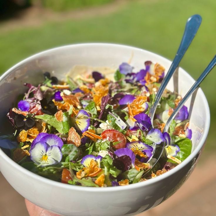 IS(H)VARA. tweet media