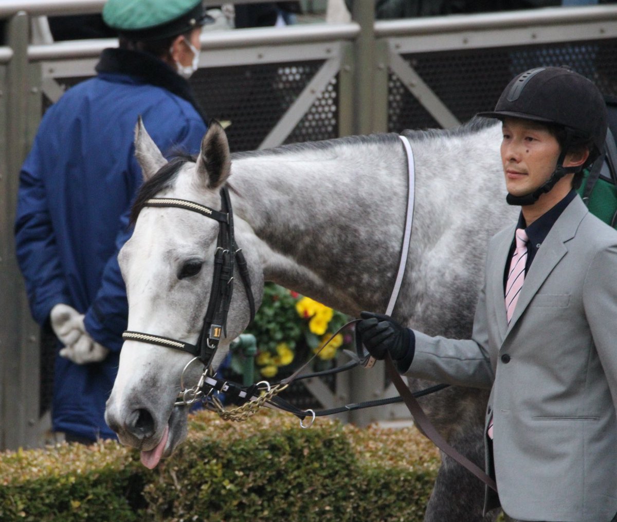 ハルちゃんちのママ (@zbsJUMqxrLzXEM8) / Posts / X