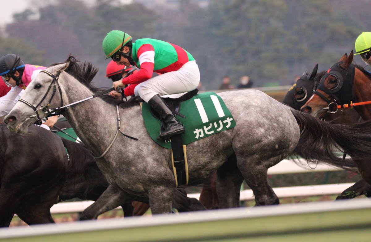 ハルちゃんちのママ (@zbsJUMqxrLzXEM8) / Posts / X