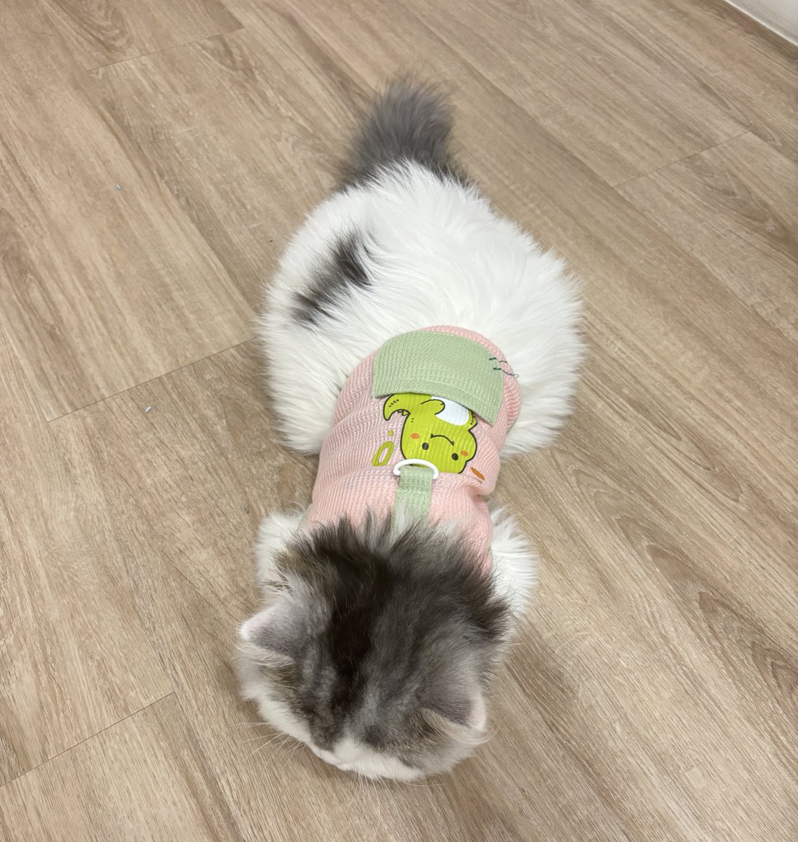 โตไวไปอะอ้วน เสื้อมันเล็กเลยเนี่ย🤣