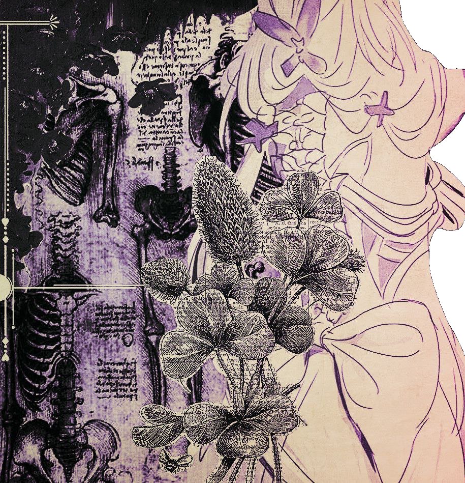 ᅠᅠ𝑆 ─┈ ꮖ͟ɴ͟ɴ͟ꭼ͟ꭱ ✶ tweet media