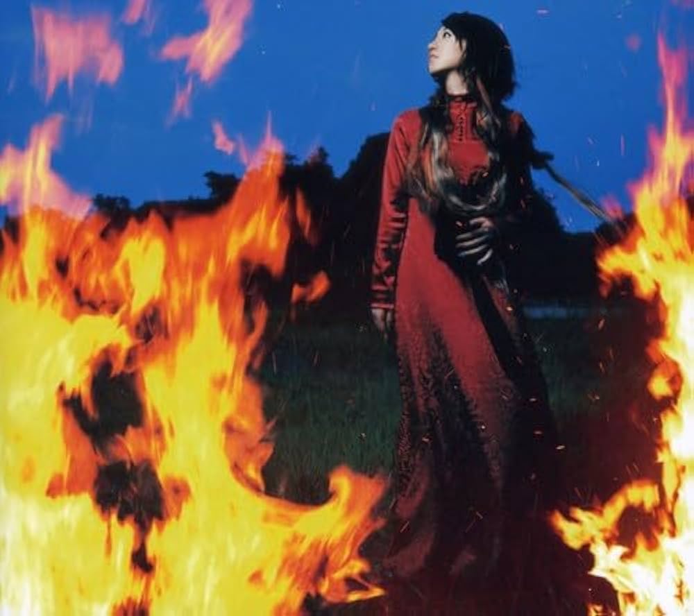 夢幻歌ってるときの映像に映ってる絵
ジャケットの写真だった
#水樹奈々
#LIVE_VISION