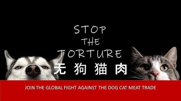 Earthling140381's tweet image. Oh my god! 💔😭🐶🤬🇨🇳