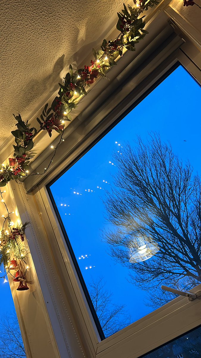 Gregg's glazed ring and mint cocoa... decorated for next week... been a great day!