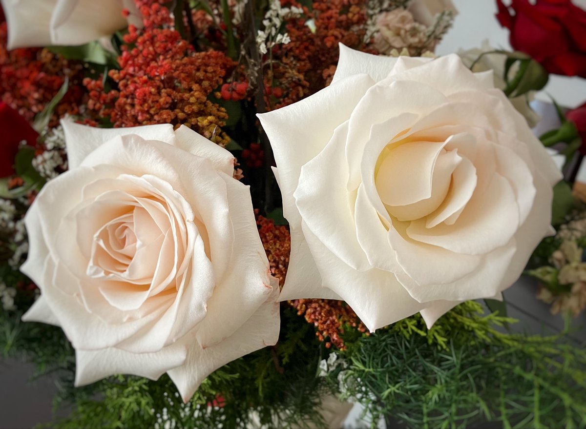 mapascu's tweet image. #iphoneonly #snapseededit #snapseed #rosas #roses