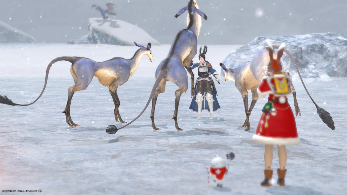 ff14
無と戯れるﾌﾚを撮ってきたよ※彼女は特別な訓練を受けています