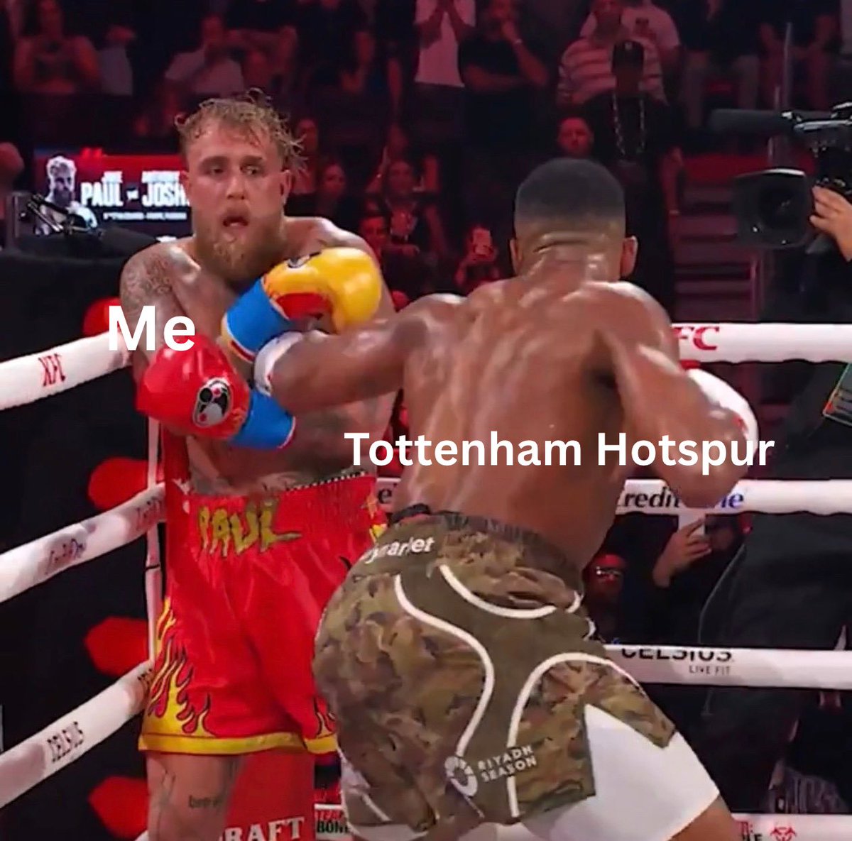 maddie_thfc's tweet image. 