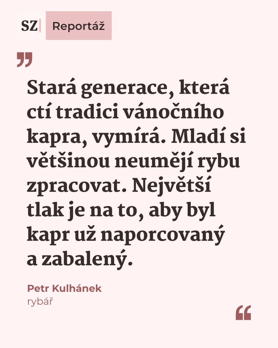 Seznam Zprávy tweet media
