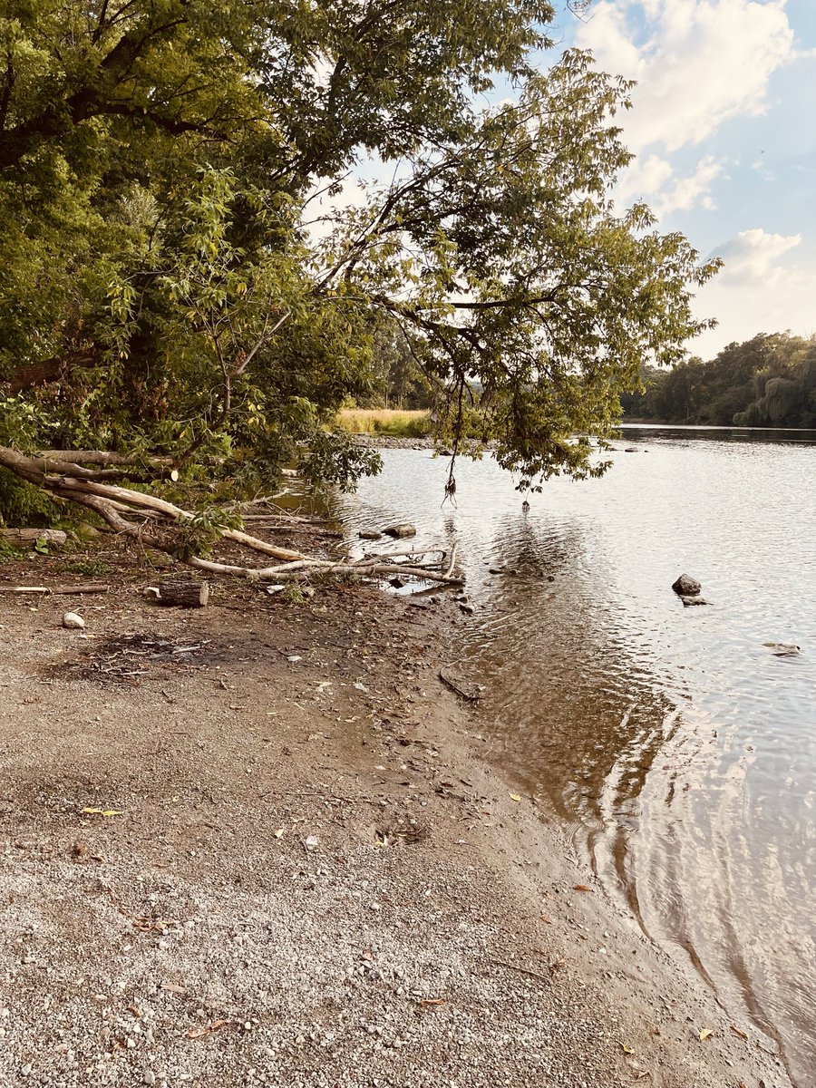 JaneDoeButs0's tweet photo. See the catfish in the water? Lol https://t.co/7wKAqREYUH