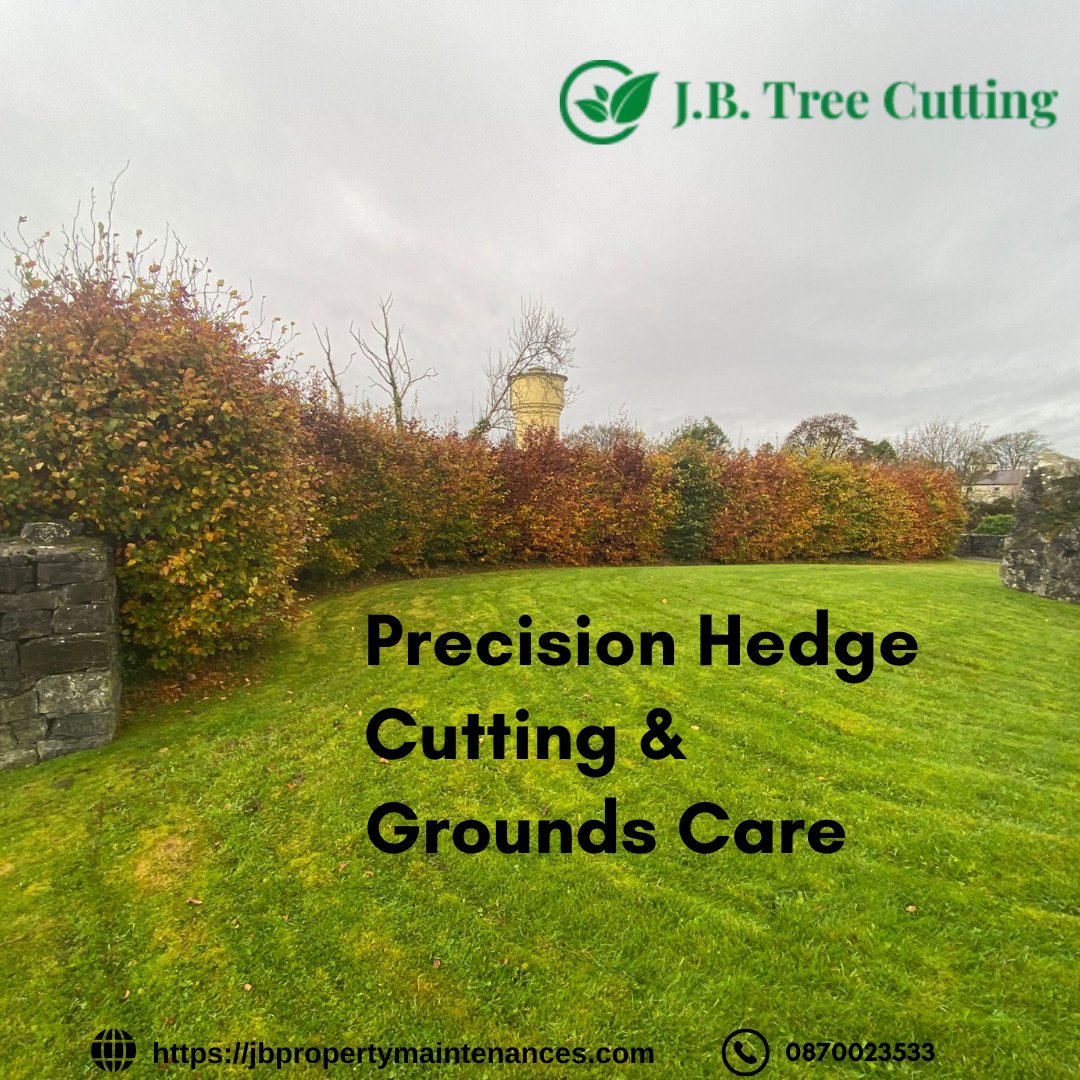 jbproperty_1's tweet image. Nothing beats the satisfaction of sharp lines and a perfectly manicured garden.

 Keeping your hedges healthy and your lawns tidy requires the right touch and the right timing.

jbpropertymaintenances.com

 #JBPropertyMaintenances #HedgeCutting #GardenMaintenance #GroundsKeeping