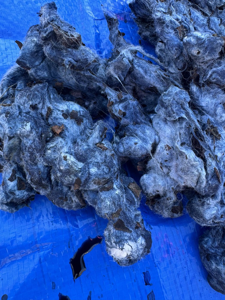 GullahMuseumSC tweet media