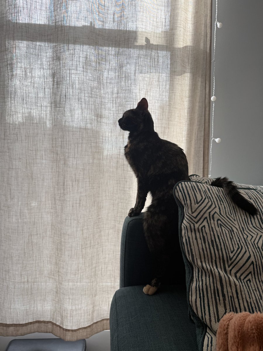 BassKitten ₍˄·͈༝·͈˄₎◞ tweet media