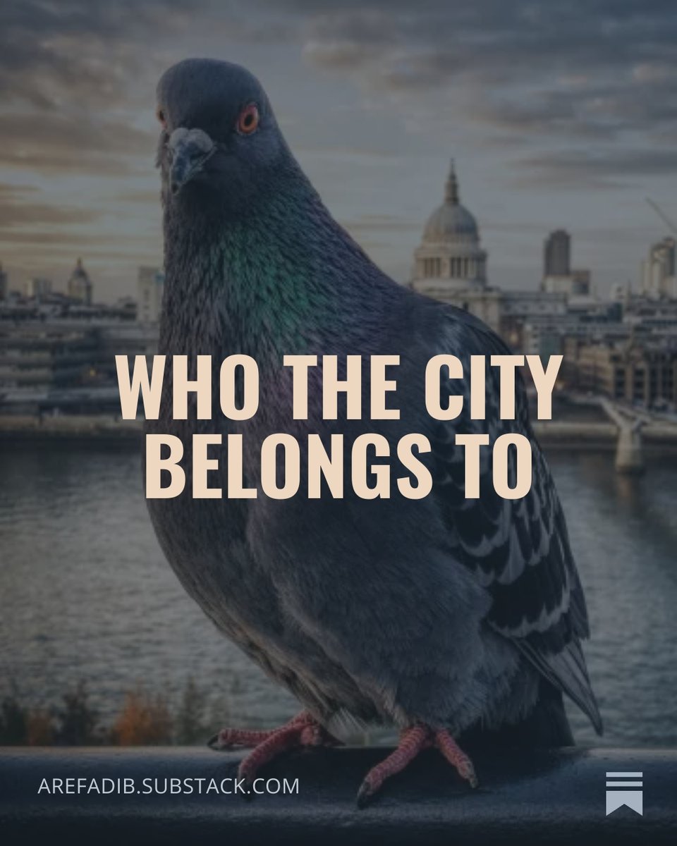 Mehrdad Aref-Adib tweet media