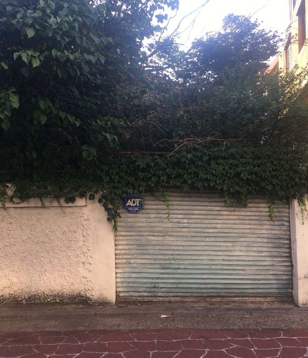 DSumarlim's tweet image. やっほー まったりしたい気分。今日は早く寝よ〜。焦らずマイペースで 🌙 ☕