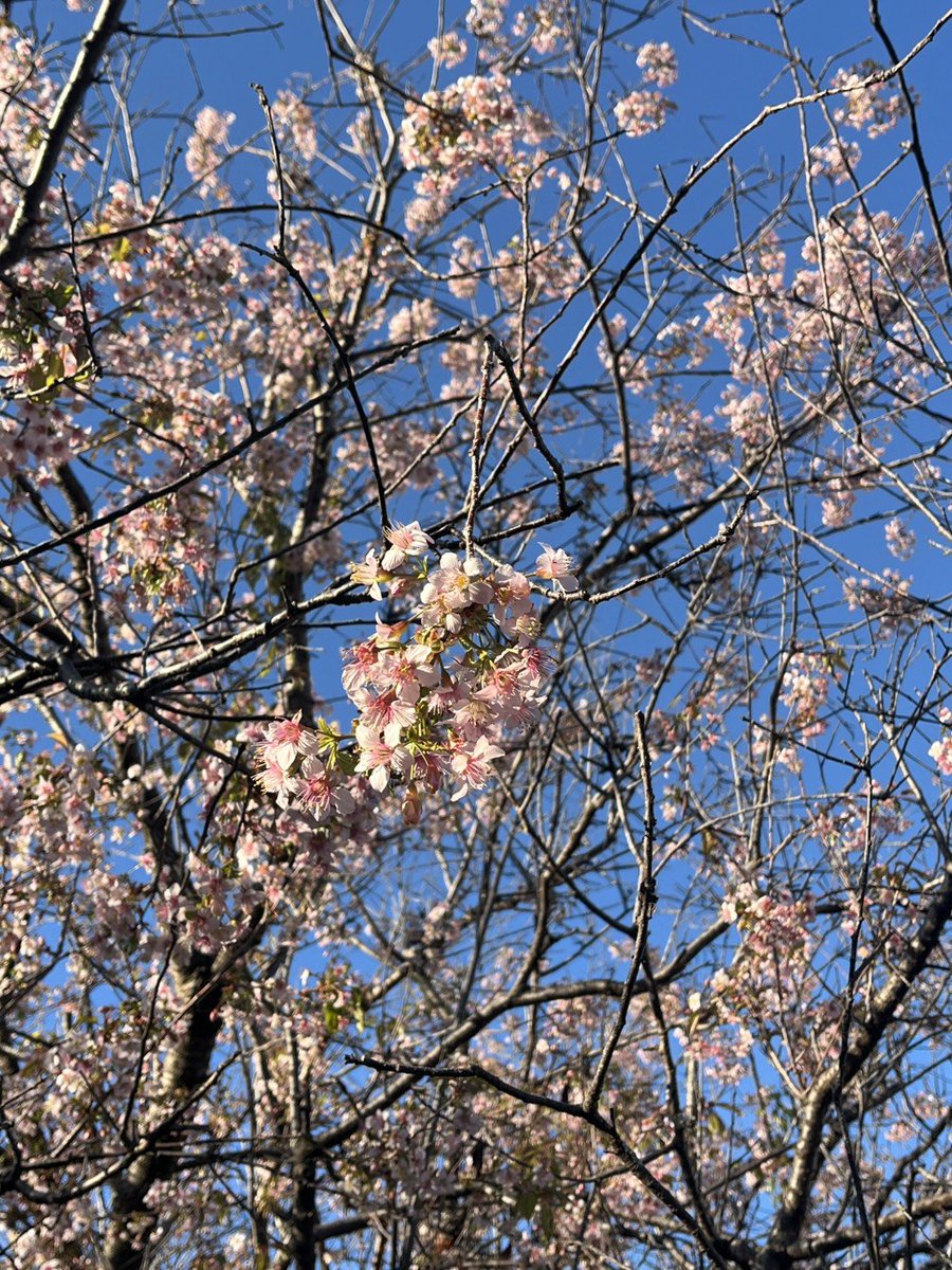 原のり子 日本共産党都議会議員 北多摩4区 (@haranoriko0917) / Posts / X