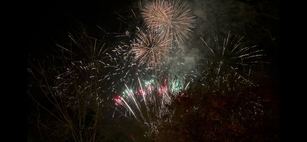 てこパカ(tecopaca)新肉球同盟写真部😻清掃隊🧼咲顔繋がり💜 tweet media