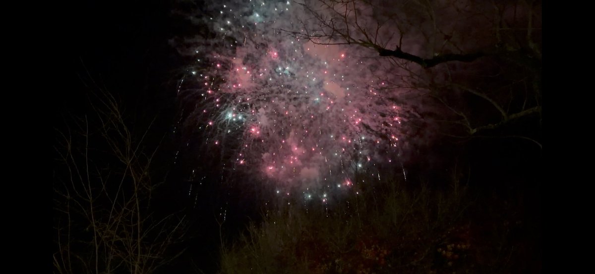 てこパカ(tecopaca)新肉球同盟写真部😻清掃隊🧼咲顔繋がり💜 tweet media