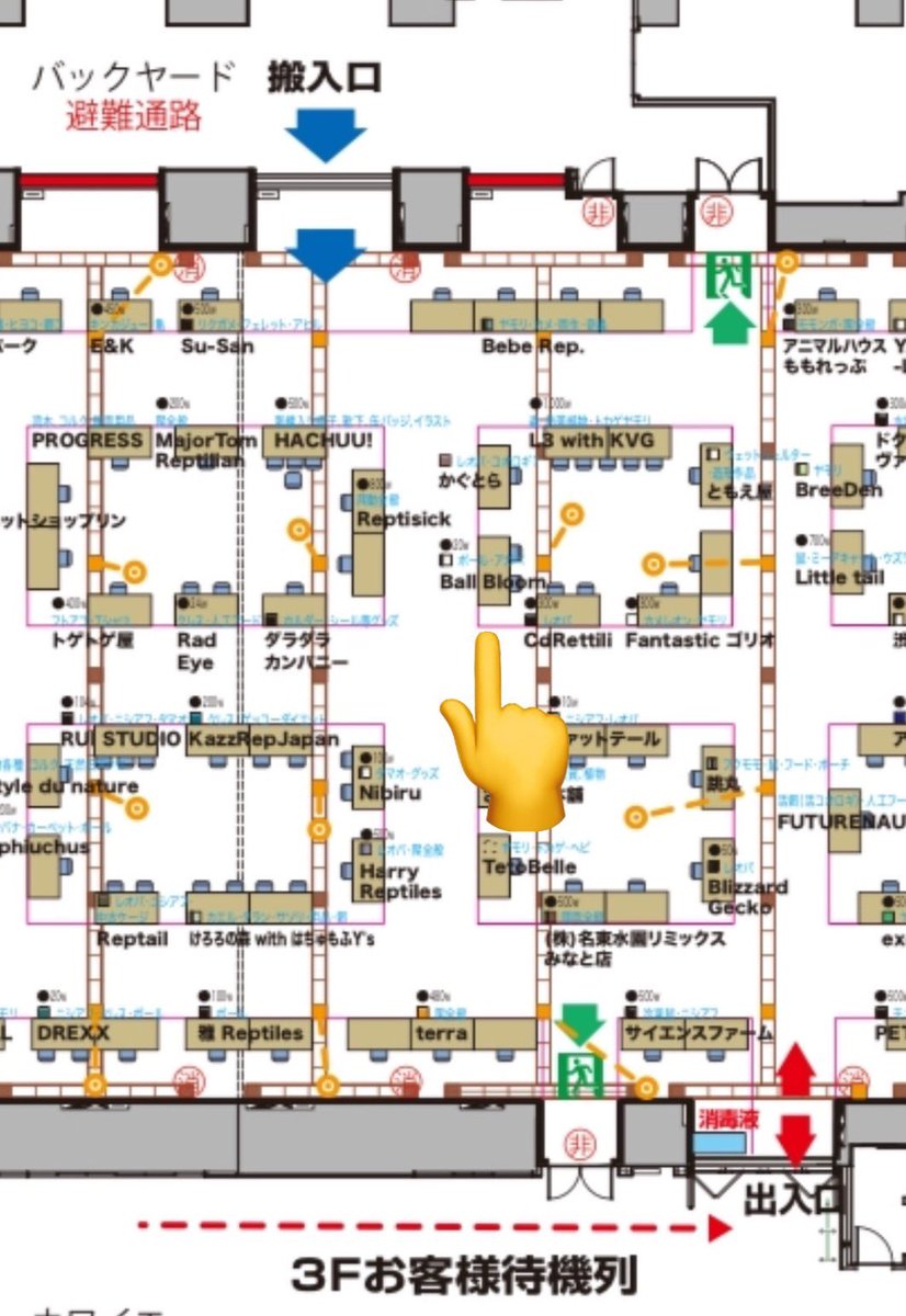 Ball Bloom tweet media