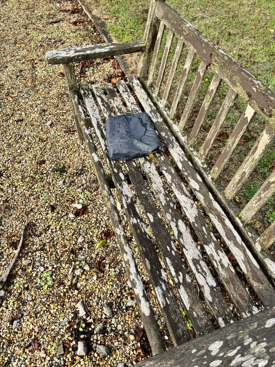 rod.willmott tweet media