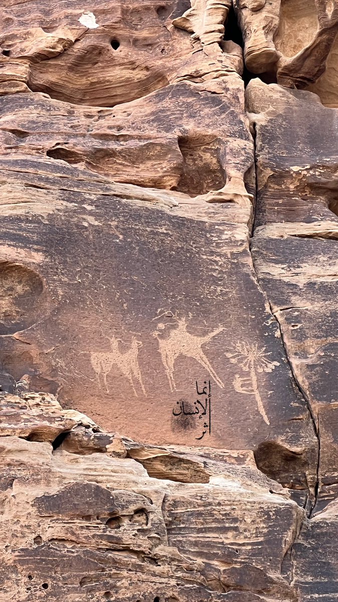 متعب | AlUla tweet media