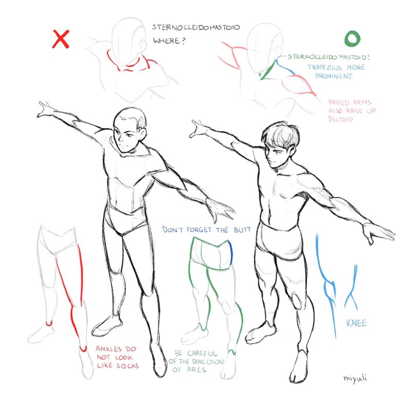 EtheringtonBros's tweet photo. Our feature artist/tutorial for today is on OVERHEAD ANATOMY by the talented @miyuliart! BRILLIANT notes here for thse looking to improve their FORESHORTENING skills! #anime #manga #characterdeign #gamedev #comicart #drawing #art #draw #anatomy #illustration https://t.co/gBpqgIE9XX