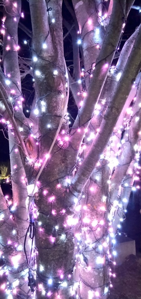 こんばんは🌃😌 今夜🌉はクリスマス🤶イルミネーション✨イベント