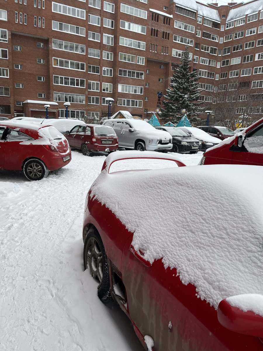 томичка tweet media