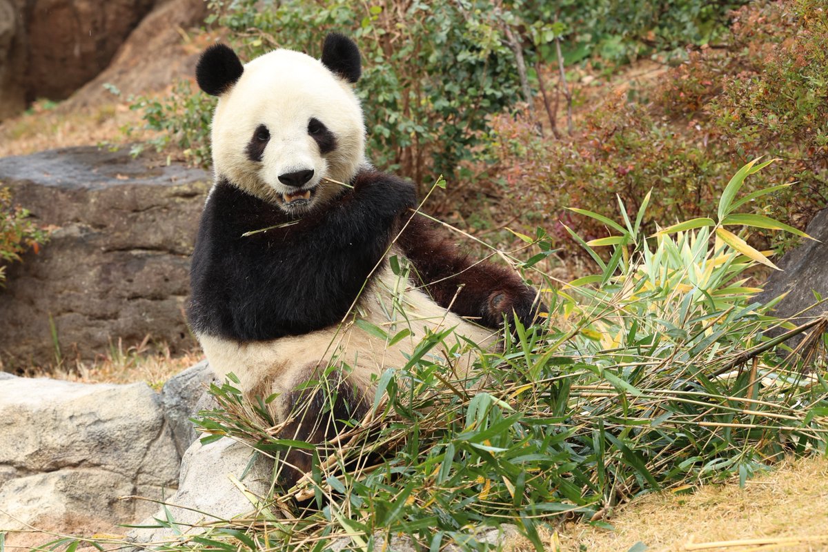 まりまり (@mari041209) / Posts / X