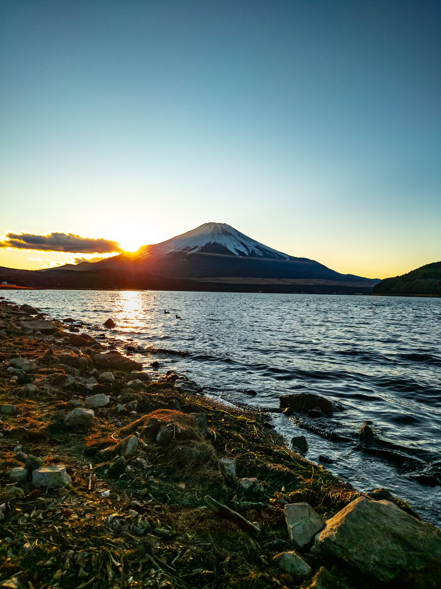 インプ@多忙のため低浮上中 tweet media