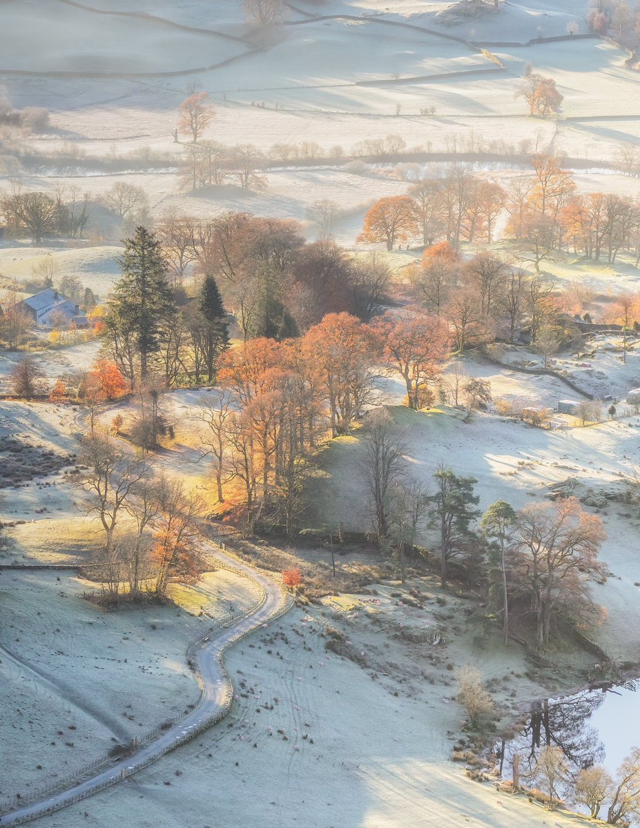 MythoBritannia's tweet image. 