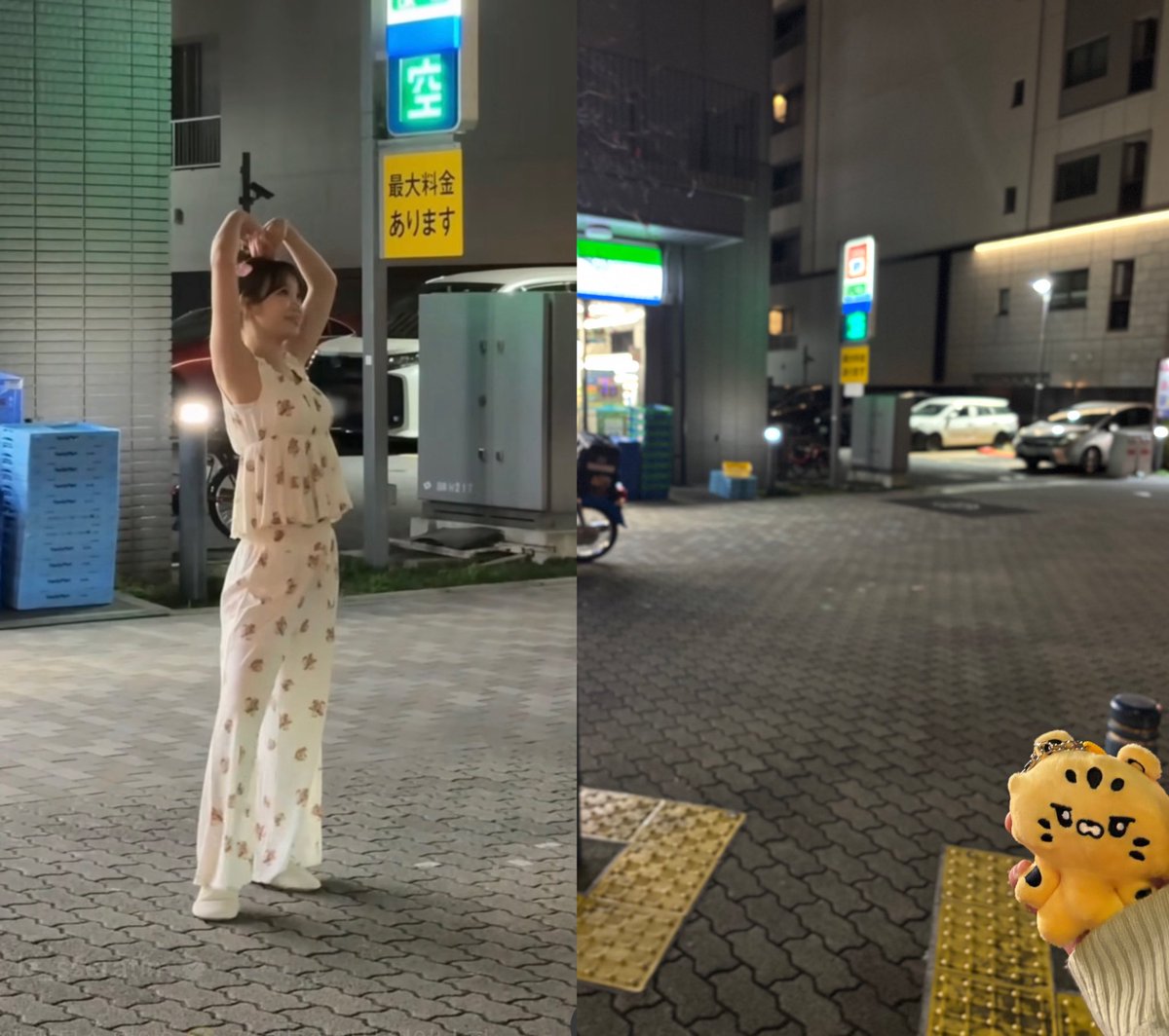 しゃち🐯💚‎🤍 tweet media