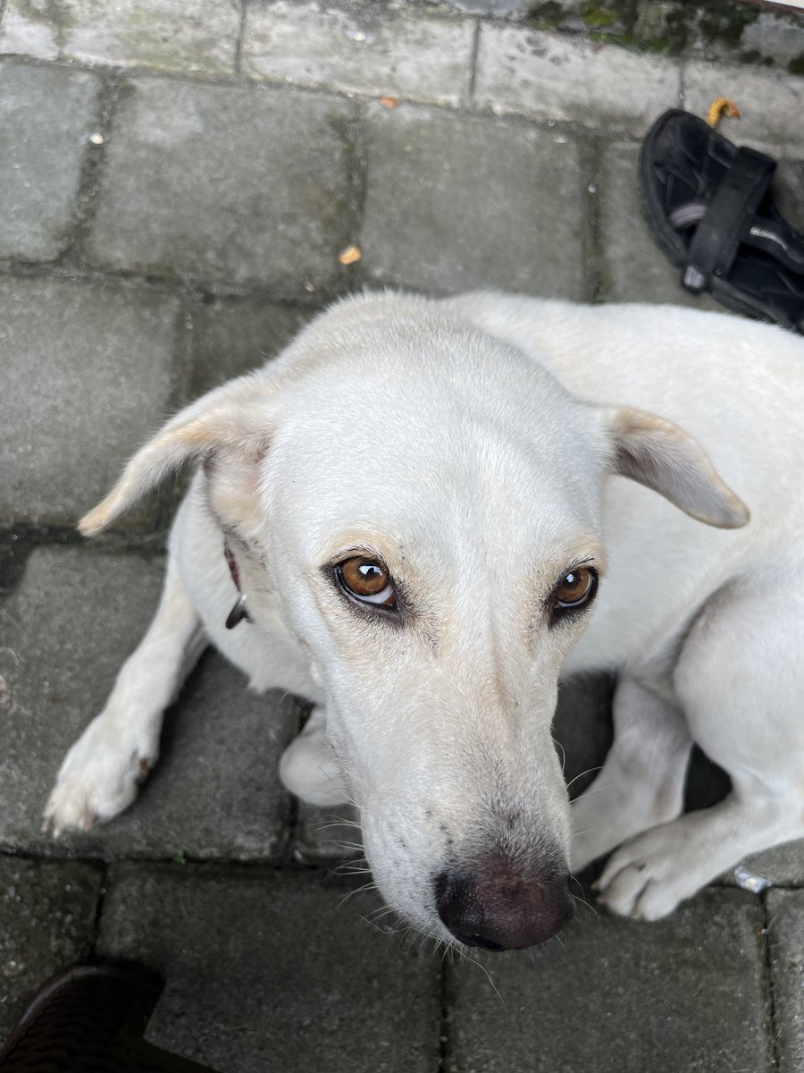 putuvandi's tweet image. 