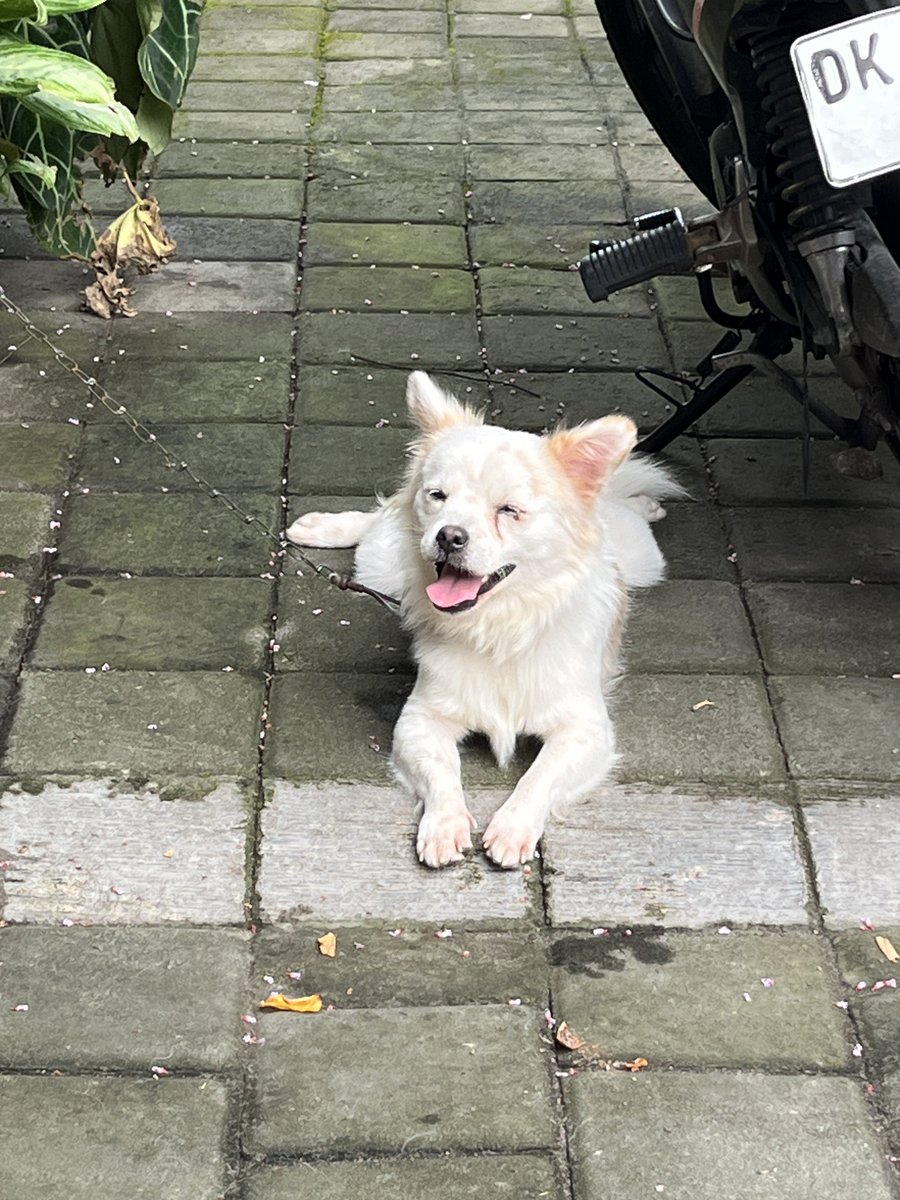 putuvandi's tweet image. 