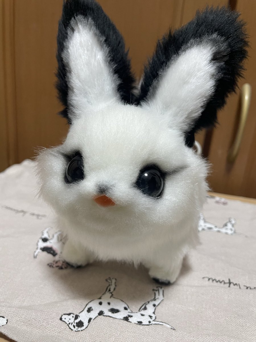 Teritre Doll/テリトルドール (@teritre_doll) / Posts / X