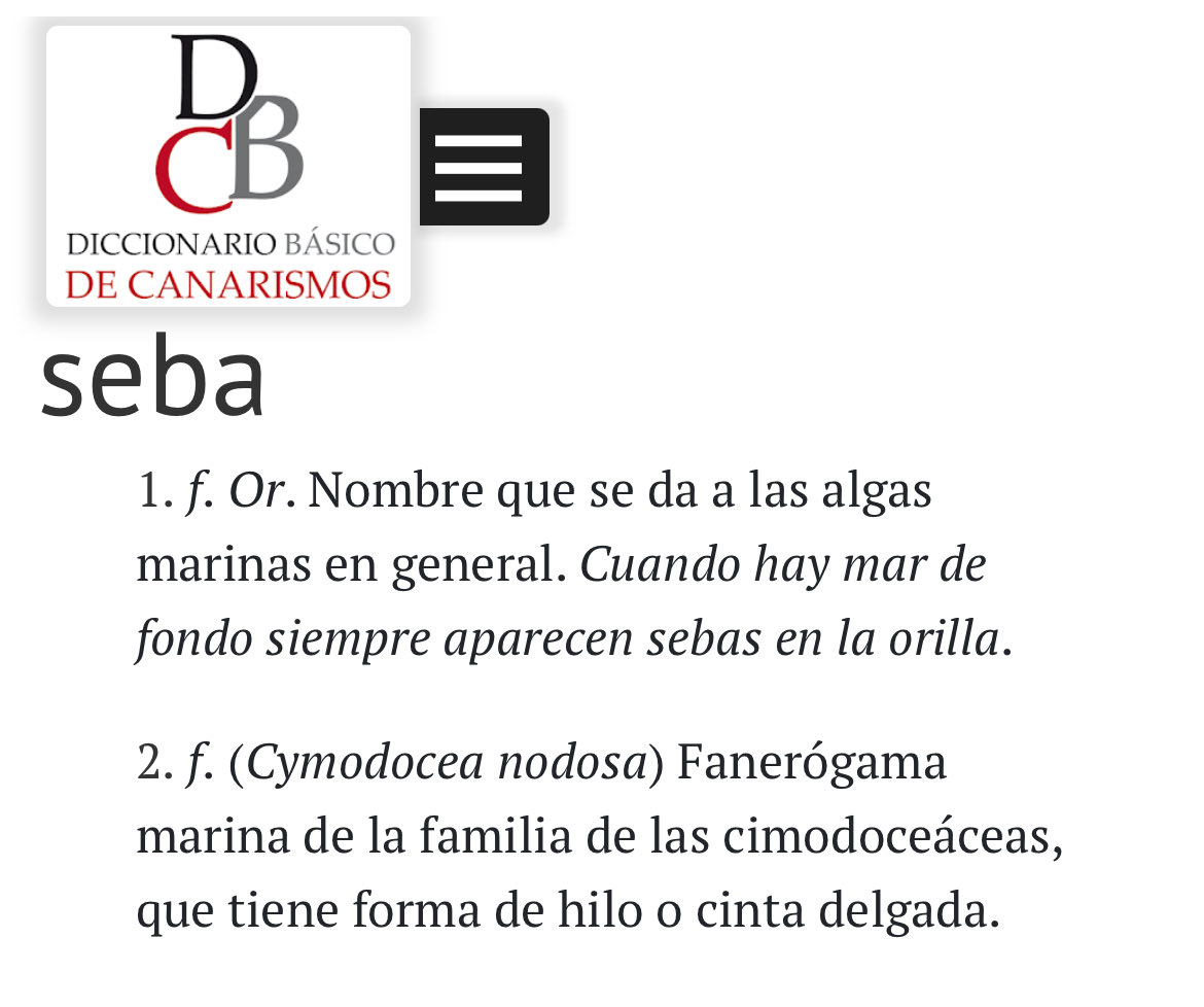 apergon's tweet photo. @LasCanteras Les iba a protestar porque no son sebas (_Cymodocea_) pero uno va al diccionario y aprende muchas cosas. ☺️ https://t.co/IxFuehPg8F