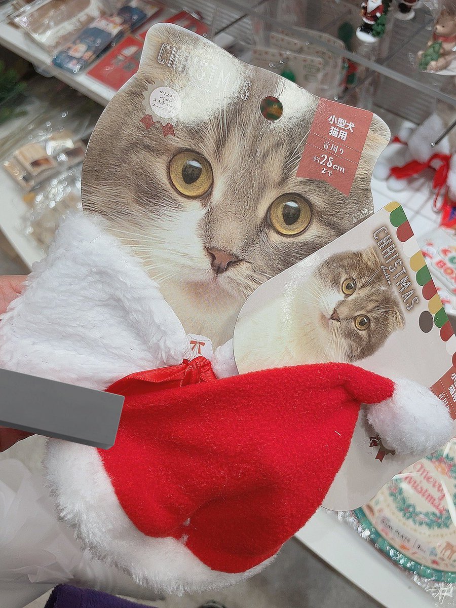 ざくにゃん🐾 (@zakuro__2nd) / Posts / X