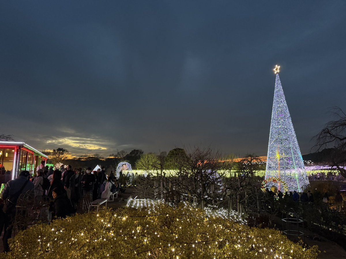 よう@一応にんげん (@youpokemonss) on Twitter photo 