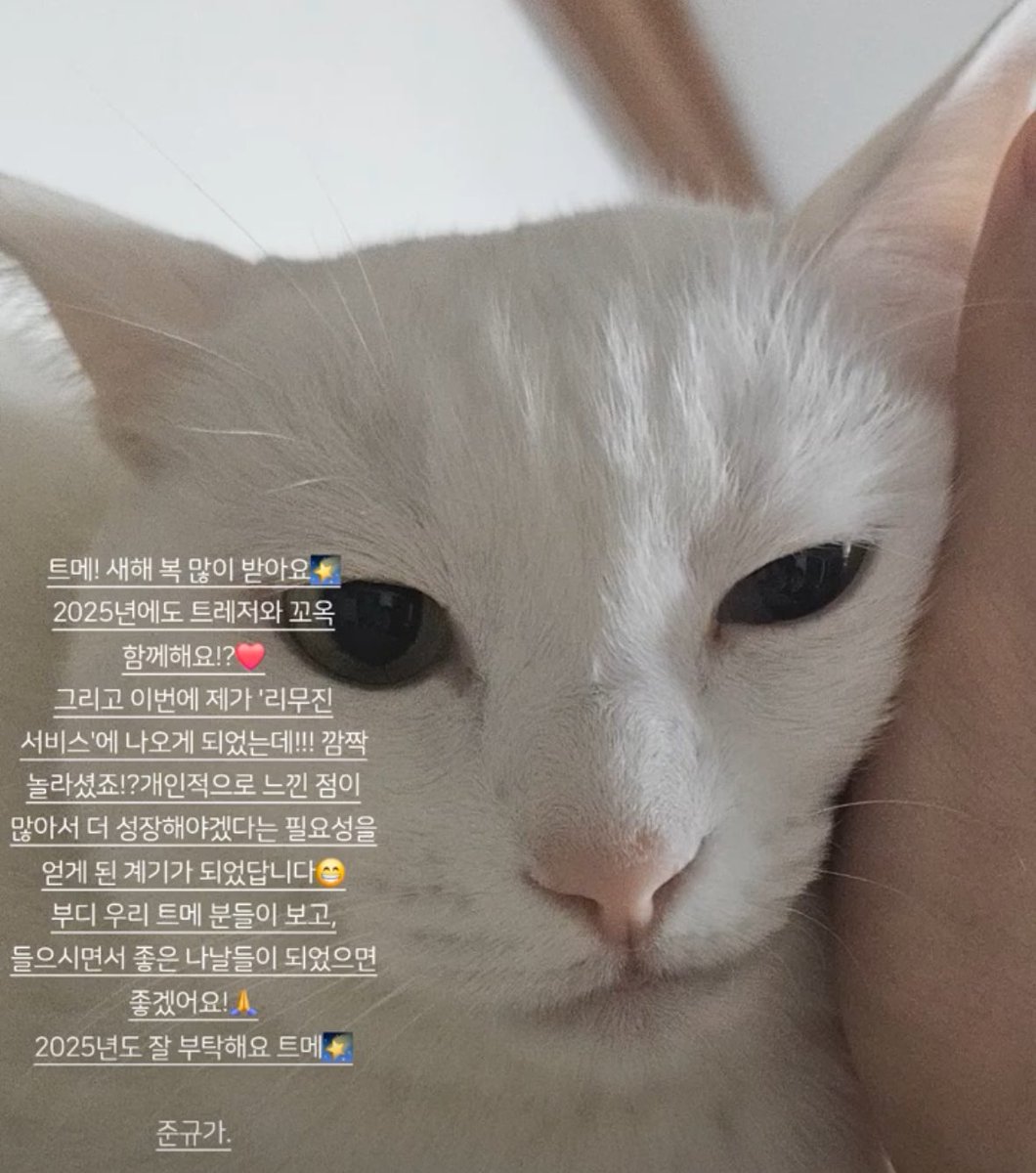 준규오늘완죤루비
털날린다🪽🪽