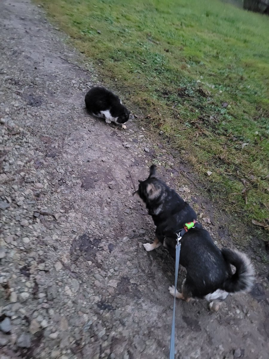 Sen neesat Vasīli redzējuši.