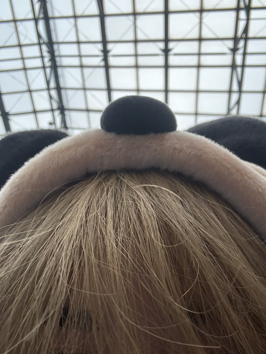 soma_abee's tweet photo. 🤴 https://t.co/J0IUXewwXS