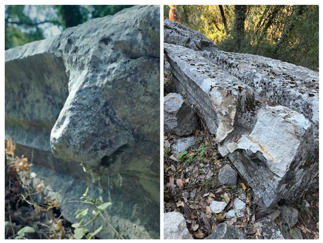 chenear's tweet image. Büyük İskender'in fethedemediği Termessos Antik Kenti'nde, arkeolog Ümit Işın tarafından 2000 yıllık aslan başlı çörtenin kırıldığı belirlendi. Olayla ilgili suç duyurusunda bulunuldu. HABERİ👇
dha.com.tr/gundem/buyuk-i…