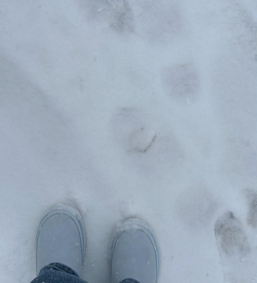 Anderson Quek tweet media