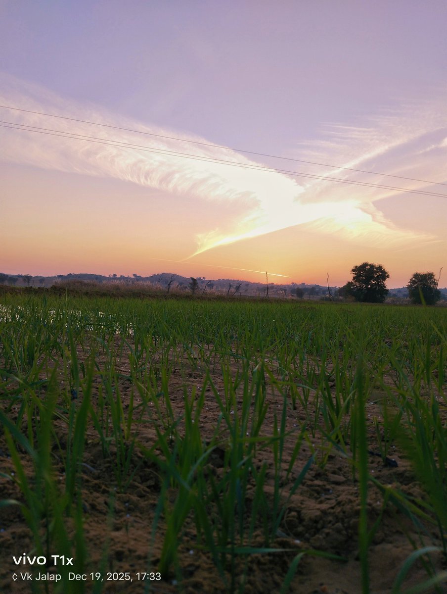 #Evening ✨⚡

<a href="/JATbera1/">Bhera ram</a> <a href="/Harish4JAAT/">हरीश चौधरी जाखड़ ✳️</a> <a href="/SangitaBishnoi_/">संगीता माँझु बिश्नोई</a> <a href="/SARITA_BISHNOI2/">SARITA_BISHNOI</a>