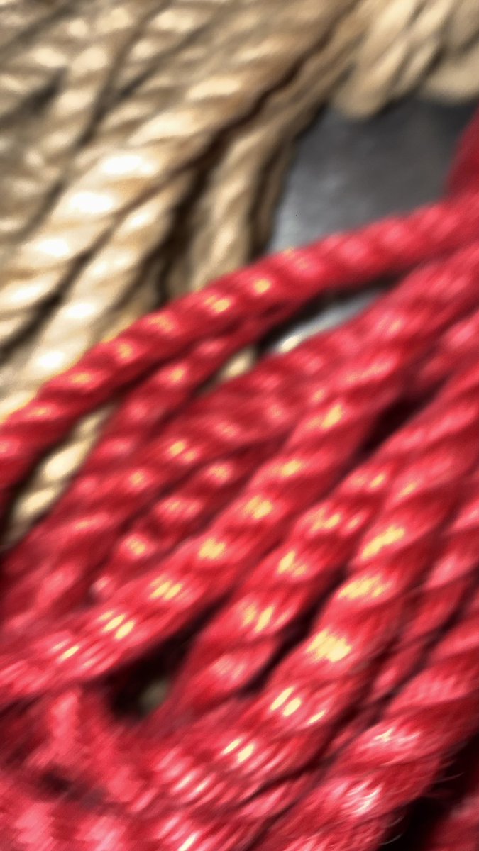 다빈이토 tweet media