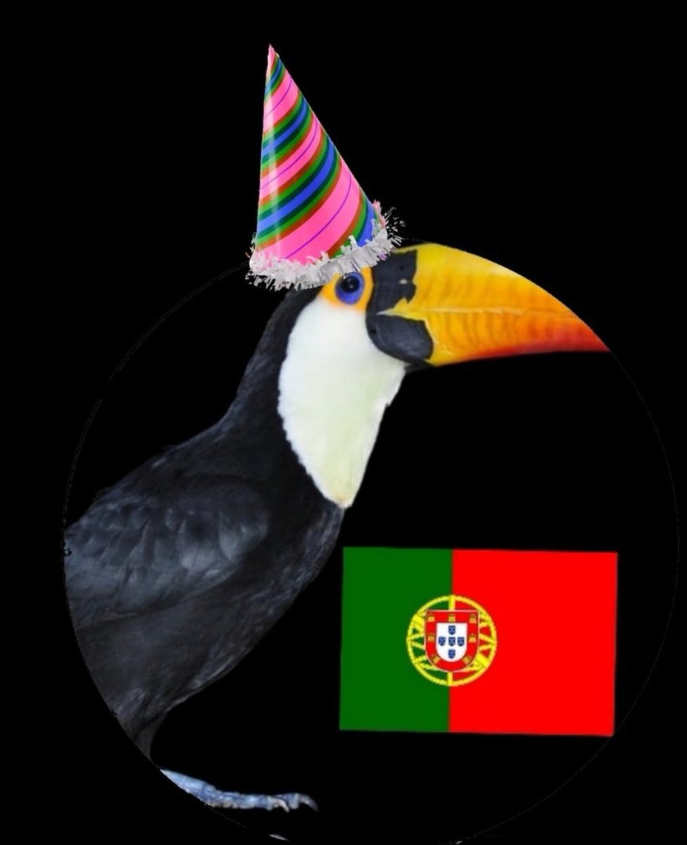 A Human (A Portuguese dub fan) tweet media