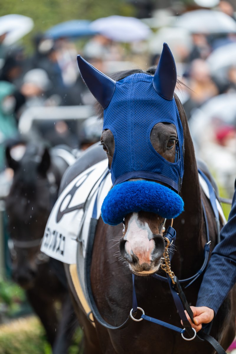 もんちゃん＠写真垢 (@mnch_pic) / Posts / X