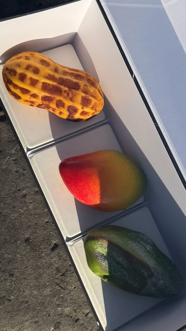 sitaurusboy2's tweet image. Bonjour 🌥️