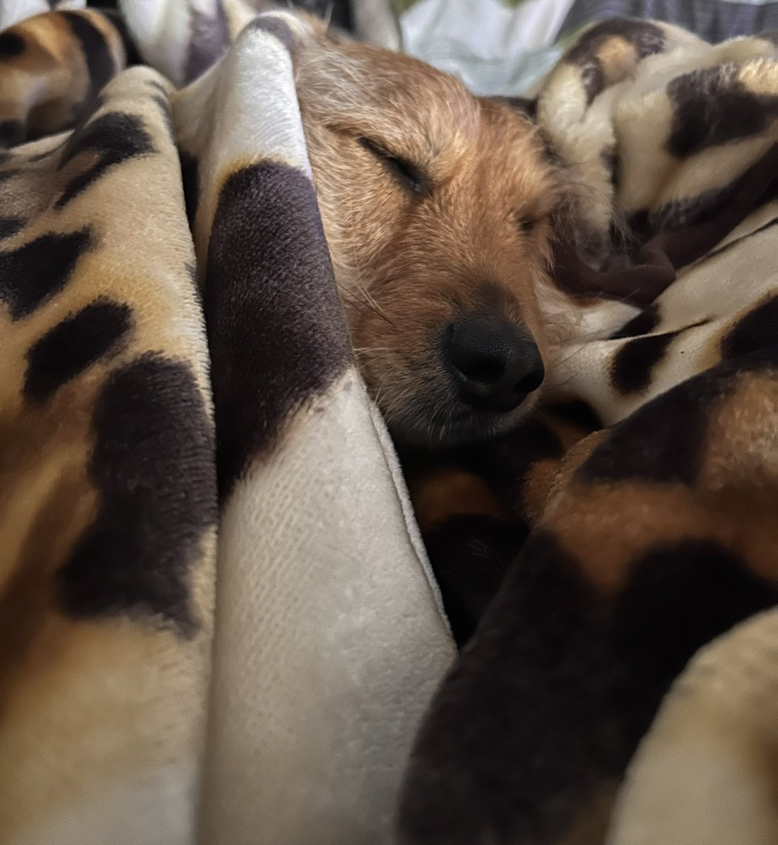 «Άπονη ζωή.. μας πέταξες στου δρόμου την άκρη…»🎤🎶🎼