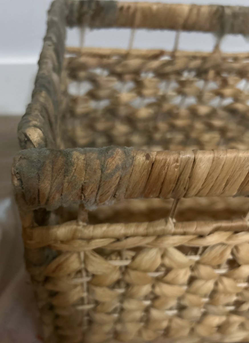 Плесневеем в европе