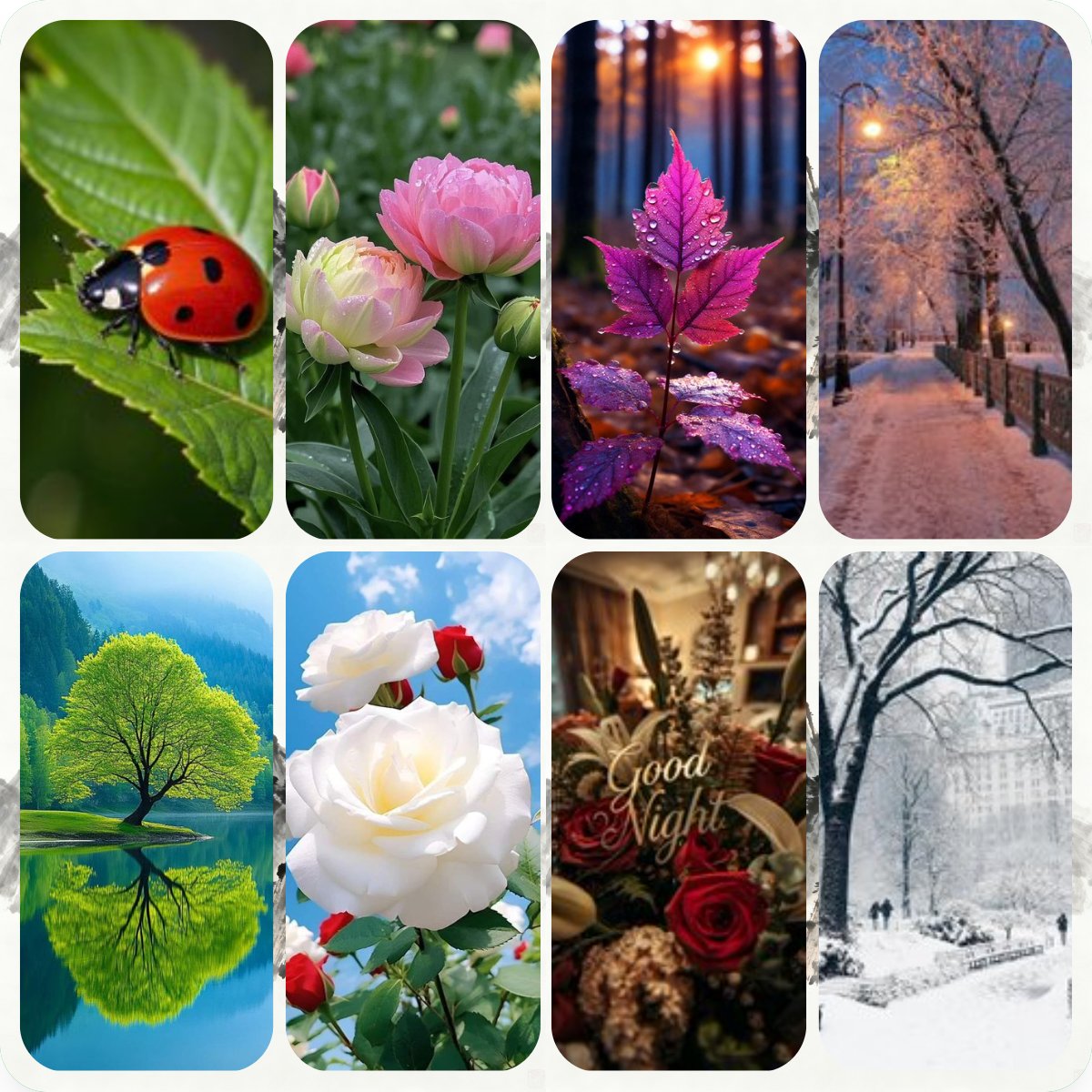 collaigo's tweet image. 